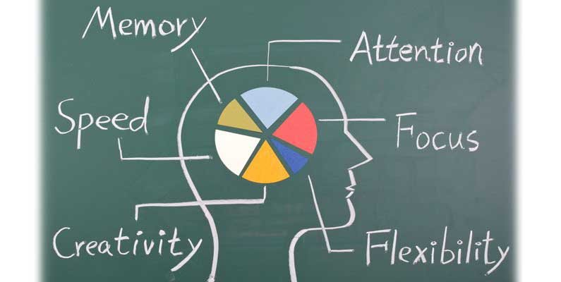 Human Brain Science Training by Vinod Sharma